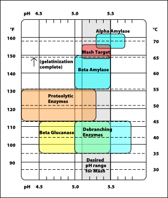 Typical Enzyme Ranges in the Mash