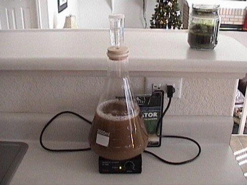 dsc00045 2L Yeast Starter on Stir Plate