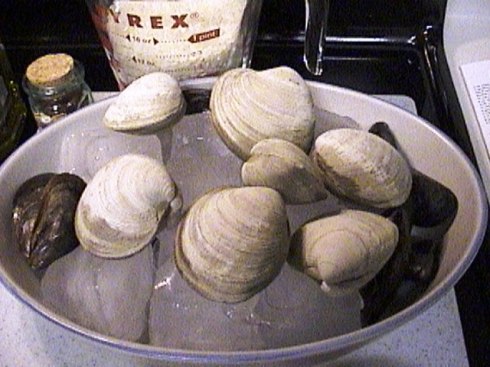 Clams and Mussels on ice