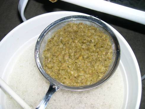 straining out whole hops - they did their job.